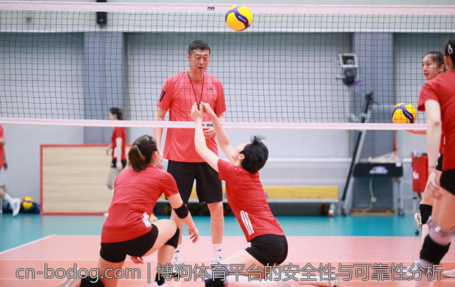 博狗体育平台的安全性与可靠性分析