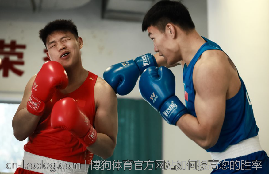 博狗体育官方网站如何提高您的胜率